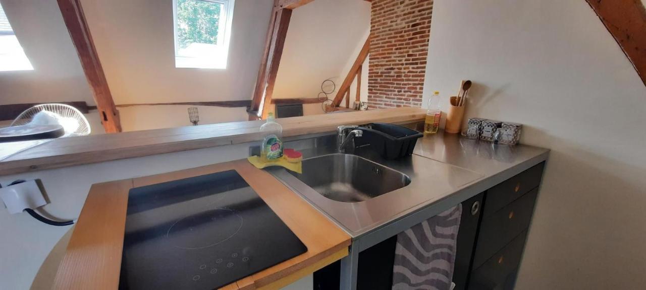 Apartamento Loft De Charme á 150m De La Cathédrale *